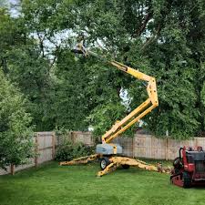 Trusted Fairfield Glade, TN Tree Removal Experts