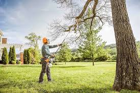 How Our Tree Care Process Works  in  Fairfield Glade, TN